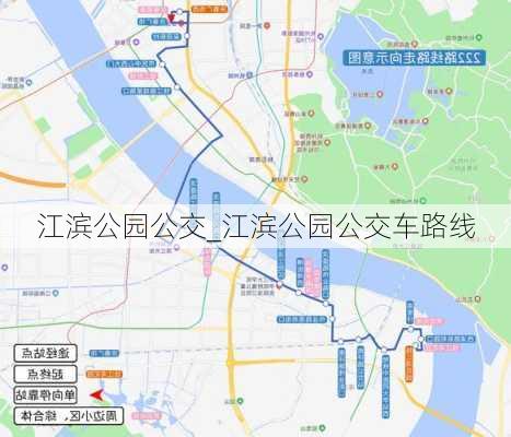 江滨公园公交_江滨公园公交车路线