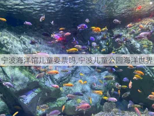 宁波海洋馆儿童要票吗,宁波儿童公园海洋世界