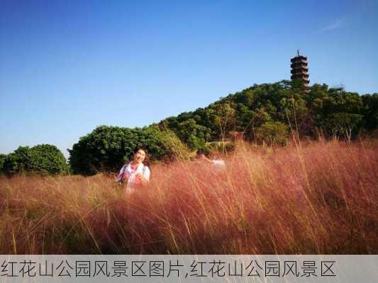 红花山公园风景区图片,红花山公园风景区