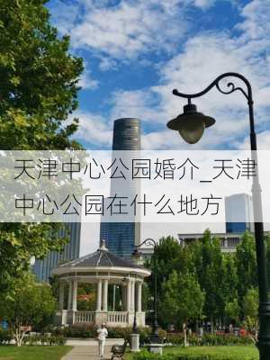 天津中心公园婚介_天津中心公园在什么地方