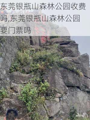 东莞银瓶山森林公园收费吗,东莞银瓶山森林公园要门票吗