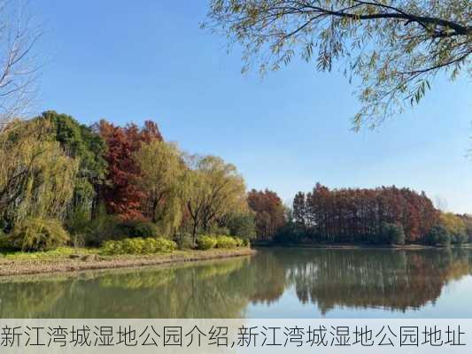 新江湾城湿地公园介绍,新江湾城湿地公园地址