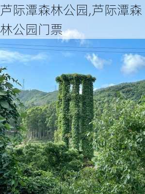 芦际潭森林公园,芦际潭森林公园门票