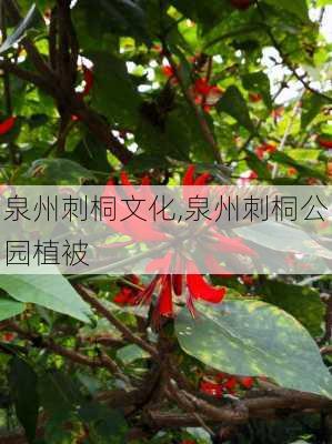 泉州刺桐文化,泉州刺桐公园植被