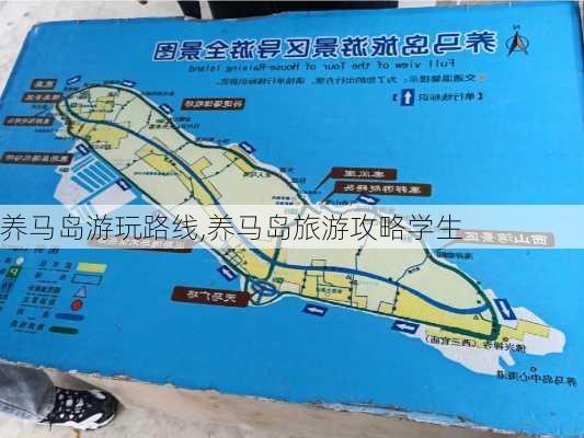 养马岛游玩路线,养马岛旅游攻略学生