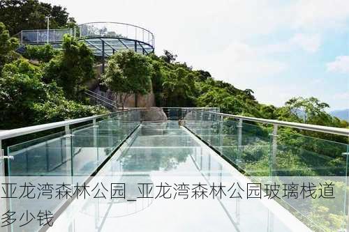 亚龙湾森林公园_亚龙湾森林公园玻璃栈道多少钱