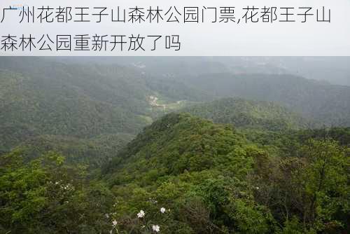 广州花都王子山森林公园门票,花都王子山森林公园重新开放了吗