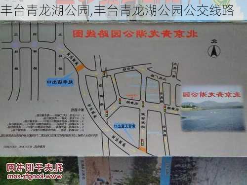 丰台青龙湖公园,丰台青龙湖公园公交线路