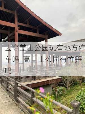 去高盖山公园玩有地方停车吗_高盖山公园有竹笋吗