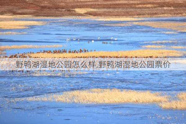 野鸭湖湿地公园怎么样,野鸭湖湿地公园票价