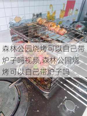 森林公园烧烤可以自己带炉子吗视频,森林公园烧烤可以自己带炉子吗