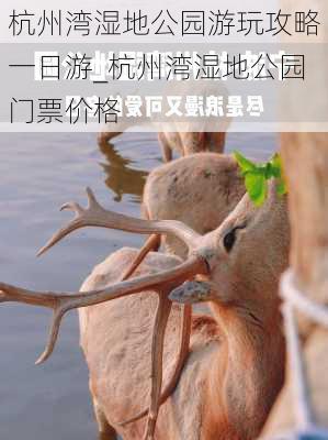 杭州湾湿地公园游玩攻略一日游_杭州湾湿地公园门票价格