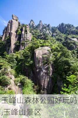 玉峰山森林公园好玩吗,玉峰山景区