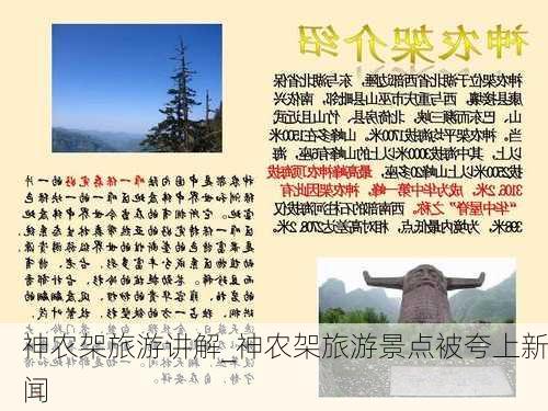 神农架旅游讲解_神农架旅游景点被夸上新闻