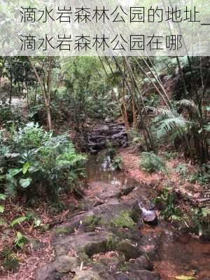 滴水岩森林公园的地址_滴水岩森林公园在哪