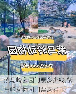 紫马岭公园门票多少钱,紫马岭动物园门票购买