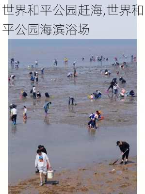 世界和平公园赶海,世界和平公园海滨浴场