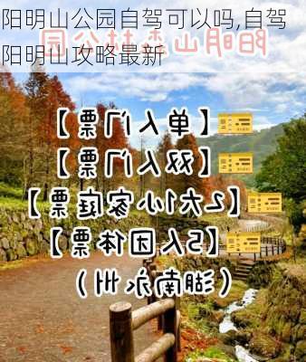 阳明山公园自驾可以吗,自驾阳明山攻略最新