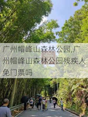 广州帽峰山森林公园,广州帽峰山森林公园残疾人免门票吗