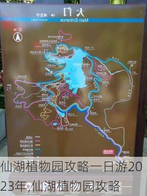 仙湖植物园攻略一日游2023年,仙湖植物园攻略