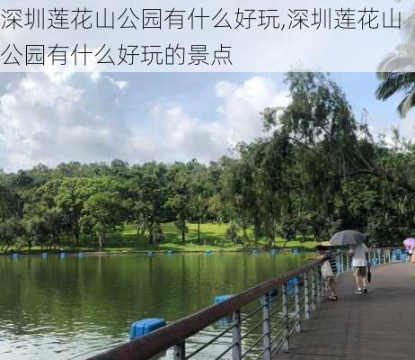 深圳莲花山公园有什么好玩,深圳莲花山公园有什么好玩的景点