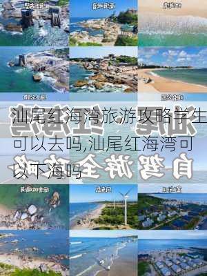 汕尾红海湾旅游攻略学生可以去吗,汕尾红海湾可以下海吗