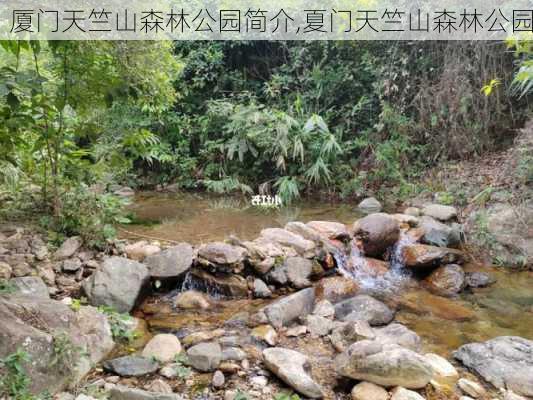 厦门天竺山森林公园简介,夏门天竺山森林公园