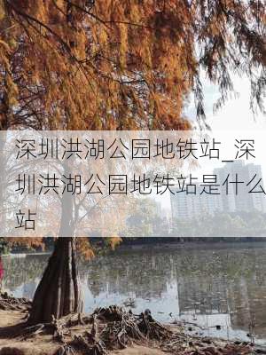 深圳洪湖公园地铁站_深圳洪湖公园地铁站是什么站