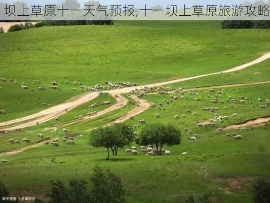 坝上草原十一天气预报,十一坝上草原旅游攻略