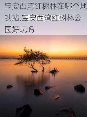 宝安西湾红树林在哪个地铁站,宝安西湾红树林公园好玩吗