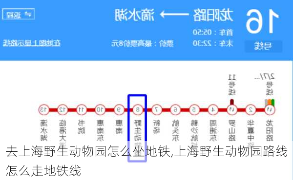 去上海野生动物园怎么坐地铁,上海野生动物园路线怎么走地铁线