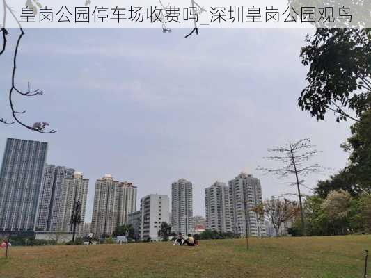 皇岗公园停车场收费吗_深圳皇岗公园观鸟