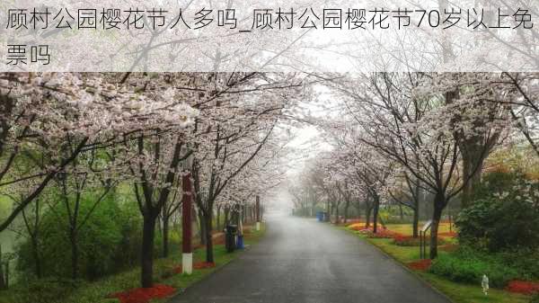 顾村公园樱花节人多吗_顾村公园樱花节70岁以上免票吗