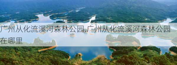 广州从化流溪河森林公园,广州从化流溪河森林公园在哪里