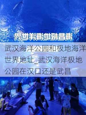 武汉海洋公园和极地海洋世界地址_武汉海洋极地公园在汉口还是武昌