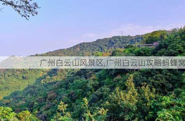 广州白云山风景区,广州白云山攻略蚂蜂窝