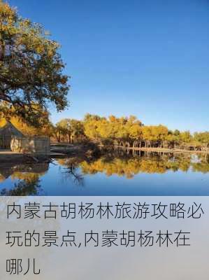 内蒙古胡杨林旅游攻略必玩的景点,内蒙胡杨林在哪儿