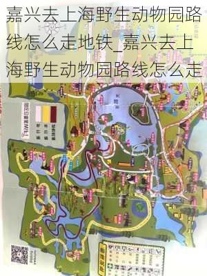 嘉兴去上海野生动物园路线怎么走地铁_嘉兴去上海野生动物园路线怎么走