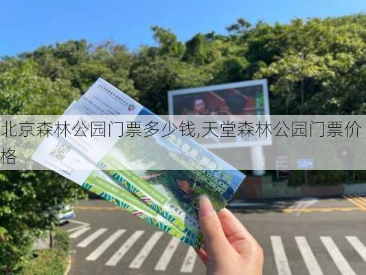 北京森林公园门票多少钱,天堂森林公园门票价格