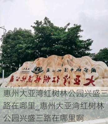 惠州大亚湾红树林公园兴盛三路在哪里_惠州大亚湾红树林公园兴盛三路在哪里啊