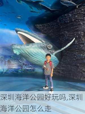 深圳海洋公园好玩吗,深圳海洋公园怎么走