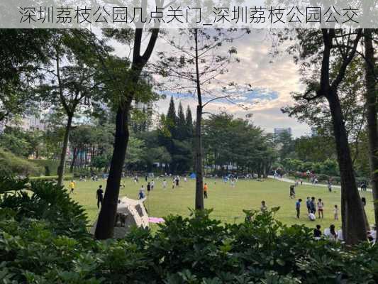 深圳荔枝公园几点关门_深圳荔枝公园公交