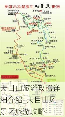 天目山旅游攻略详细介绍_天目山风景区旅游攻略