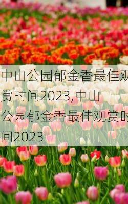 中山公园郁金香最佳观赏时间2023,中山公园郁金香最佳观赏时间2023