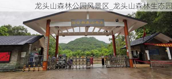 龙头山森林公园风景区_龙头山森林生态园