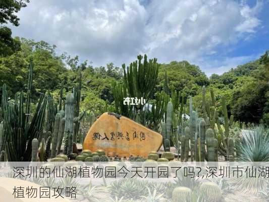 深圳的仙湖植物园今天开园了吗?,深圳市仙湖植物园攻略