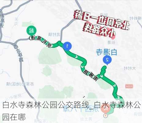 白水寺森林公园公交路线_白水寺森林公园在哪