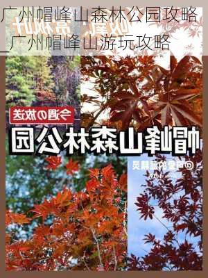 广州帽峰山森林公园攻略_广州帽峰山游玩攻略