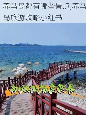 养马岛都有哪些景点,养马岛旅游攻略小红书