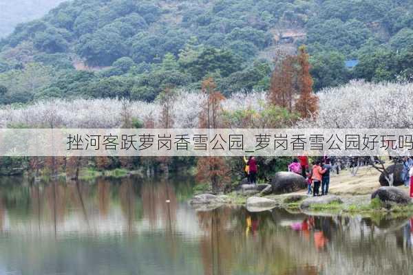 挫河客跃萝岗香雪公园_萝岗香雪公园好玩吗